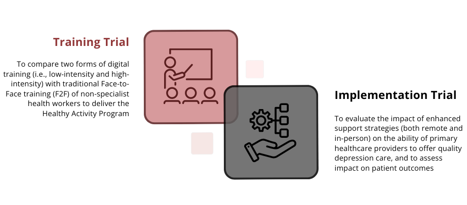 ESSENCE_project_plan
