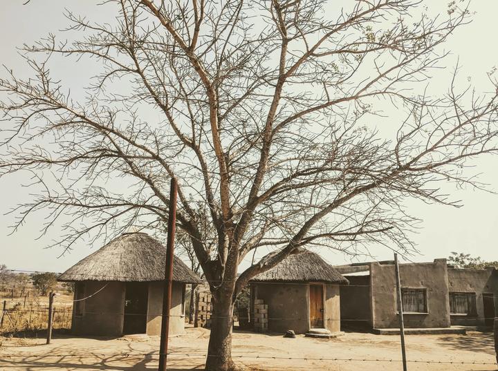 South Africa Project